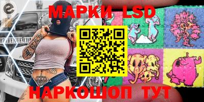 индика Новозыбков