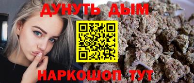 гашик Новокубанск