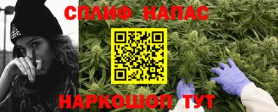 индика Новозыбков