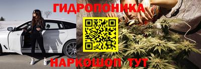 индика Новозыбков