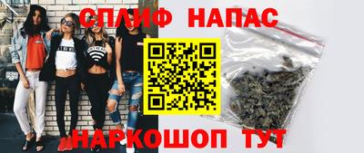 индика Новозыбков