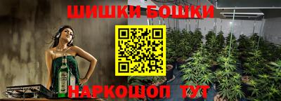 гашик Новокубанск