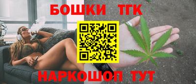индика Новозыбков