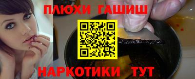 индика Новозыбков