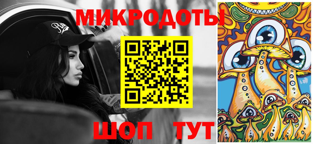Галлюциногенные грибы Psilocybine cubensis Архангельск